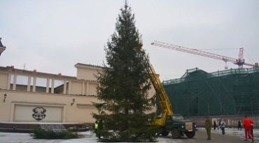 В Ужгороде начали устанавливать главную городскую елку