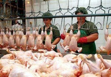 Рынок курятины США найдет выход в Закарпатье
