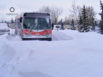 В Англии россиянин откопал из снега автобус