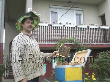 Владимир Надуличный из Мукачево 20 лет держит пчел