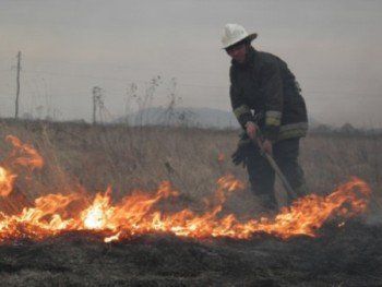 На Закарпатье чрезвычайно высокий уровень пожароопасности