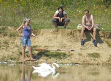Закарпатские волонтеры очень надеяться, что смогут спасти травмированного лебедя