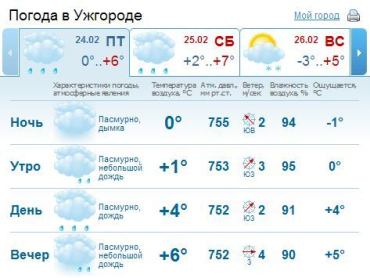 В Ужгороде пасмурная погода продержится весь день, ожидается снег и дождь