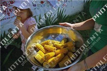 В Виноградовском районе прошел фестиваль кукурузы
