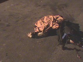 Во Львове в ДТП погибла маленькая девочка.