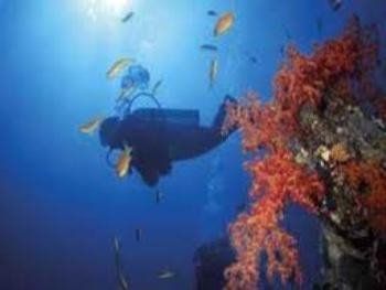 В Закарпатье можно заниматься подводными видами спорта, главное, чтобы была вода