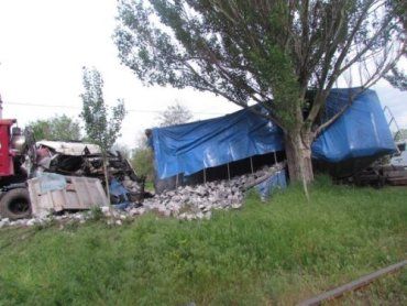 ДТП в Донецкой области : лобовое столкновение двух фур