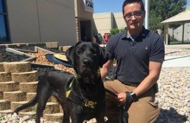 Полицейский пес в штате Юта умеет искать порнографию