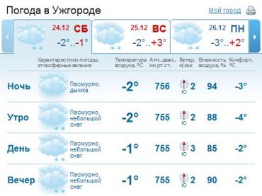 В Ужгороде почти все время будет идти снег, пасмурно