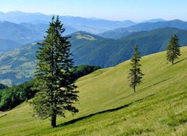 Альпинисты МинЧС спасли пятерых заблудившихся туристов-граждан Чехии