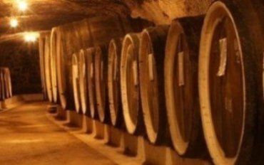 В Закарпатье на фестивале смогут продегустировать до 15 сортов молодого вина