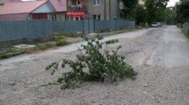 В Мукачево воруют канализационные люки профессионально