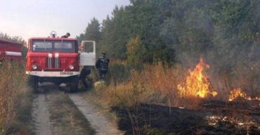 В Закарпатье почти все лето горели трава, кустарник и лес...