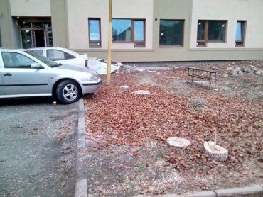 Скорее всего, сквер в Ужгороде закатают под частную парковку для автомобилей