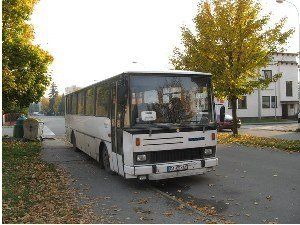 Милиция обнаружила нелегалов в рейсовом автобусе в Раховском районе