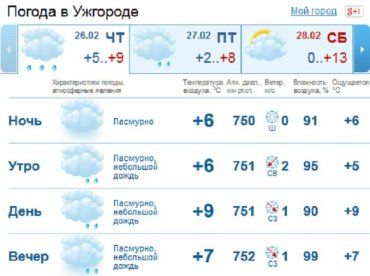 На протяжении всего дня в Ужгороде ожидается дождь, который вечером ослабнет