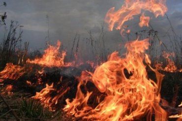 В Ужгороде сжигают всё, что горит, - о последствиях никто не думает