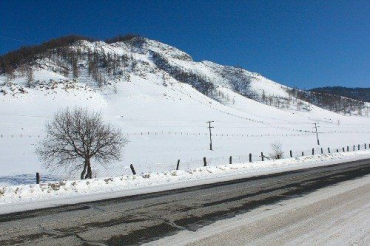В Закарпатье на дорогах гололедица, налипание мокрого снега