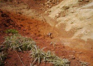 Закарпатские экологи запретили добывать глину в Шаланках