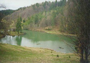 В Закарпатье от июньской жары лучше спрятаться в лесу, чем утонуть в пруду