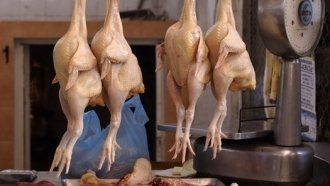 За четыре курицы ужгородский вор может провести в тюрьме от 3 ​​до 6 лет
