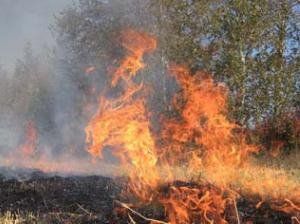 МЧС Закарпатья предупреждает об опасности пожаров в лесной зоне