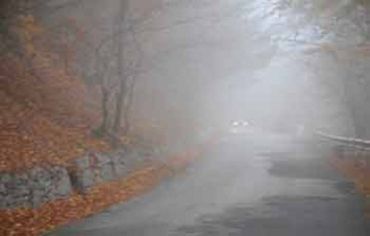 21 ноября на территории Закарпатья ожидаются сильные туманы