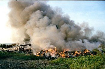 В Ужгороде налоговик сжигает мусор и "строит" милицию, экологов и пожарных