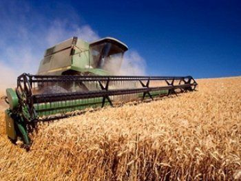 В Кировоградской области задержаны 26 фиктивных зернотрейдеров