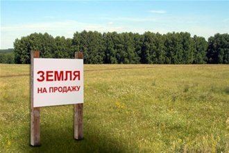 На Закарпатье от продажи земельных наделов в бюджет поступило 7,36 млн грн