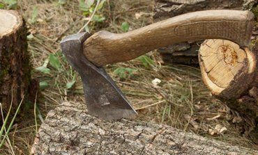 Власти Крыма советует делать запасы дров летом