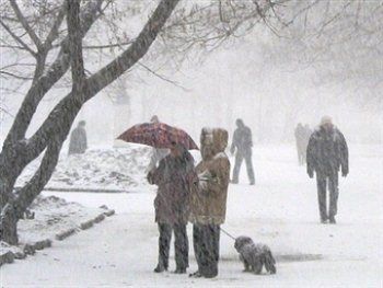 В Ужгороде 10 декабря ожидается мокрый снег и сильный ветер