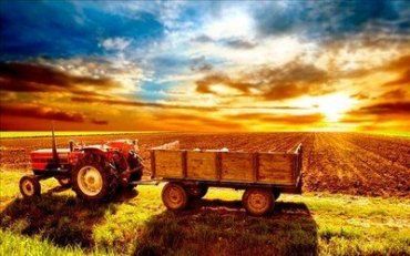 Орест Дель Соль: «Я давно хотів бути фермером, з самого дитинства»