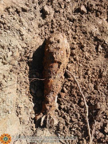 В Свалявском районе житель села нашел минометную мину