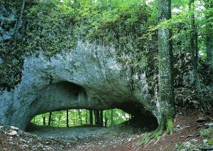 Общая длина пещеры составляет 92 метра, объем - 63 квадратных метра