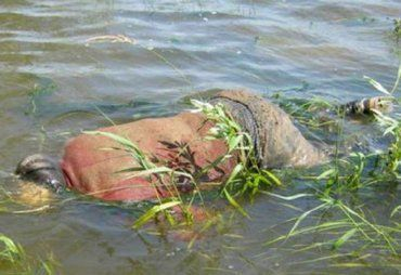 В Сваляве утонул местный житель