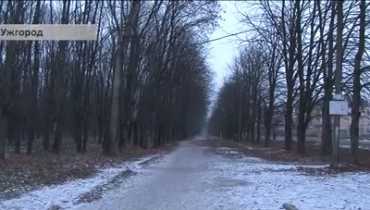 Ужгородские депутаты фактически разрешили застраивать Боздошский парк