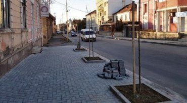 На Собранецкой в Ужгороде высадили деревья и перестилают брусчатку