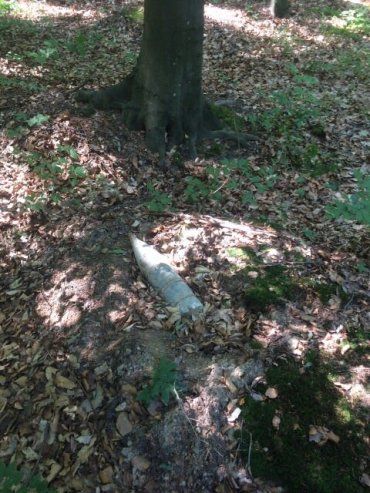 У лісі на Ужгородщині знайшли снаряд