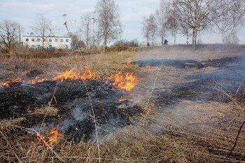 Сжигание сухостоя в Ужгородском районе привело к пожару на газопроводе