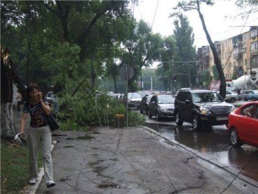 В Одессе деревья заблокировали движение всего транспорта