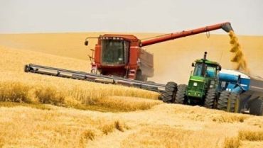 Урожайность зерновых в сельхозпредприятиях предприятиях Закарпатья - 29,2 ц / га