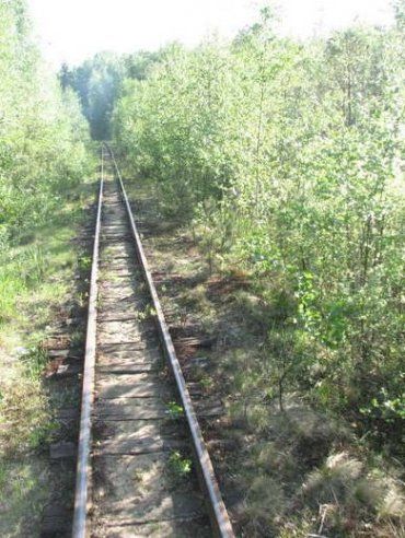 "Золоту лісову залізницю" запускають на Львівщині