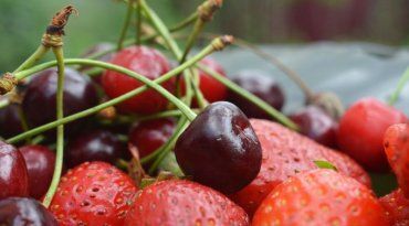 В Європі цьогоріч смакуватимуть закарпатськими ягодами?