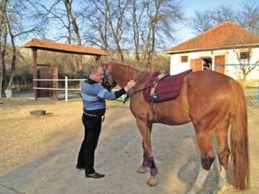 Догляд за конем — це і своєрідний релакс, відпочинок