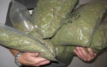 Полицейские изъяли у ужгородца килограмм марихуаны
