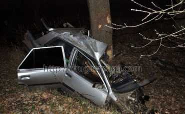 В Черкасской области Renault разорвало об дерево, все погибли