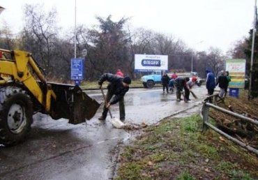 В Ужгороде коммунальщики впервые занялись обрезкой деревьев