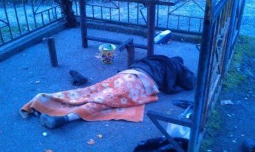 В Ужгороде собака наткнулась на труп человека, а в Хусте парень едва не замерз