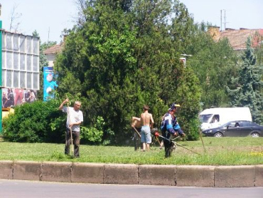 В Ужгороде массово косят все газоны для Виктора Януковича